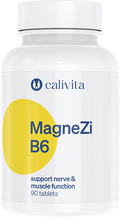 MagneZi B6
