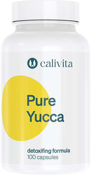 Pure Yucca