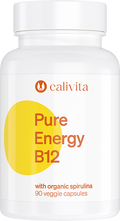 Pure Energy B12